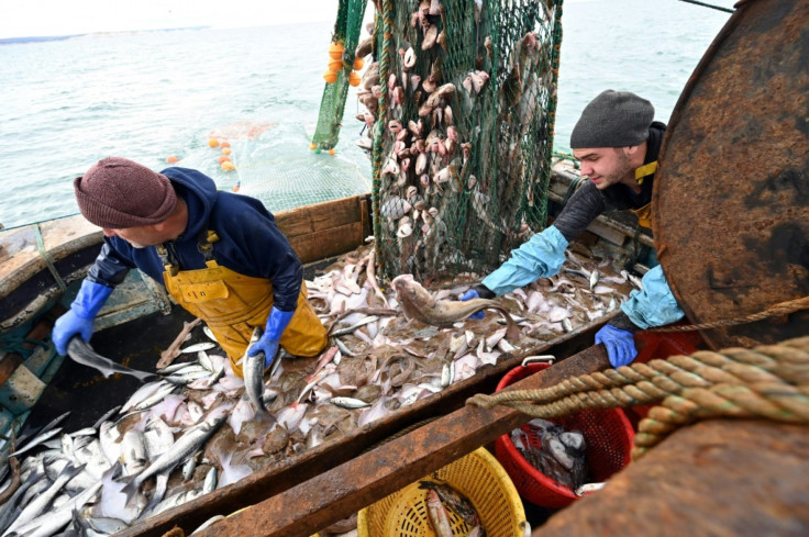 Fishing rights is one of the key issues in the EU-UK talks