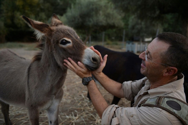 Luis Bejarano, who crossed The Alps with a donkey and a llama, says donkeys interact better with people than horses, who are more suited to physical therapy