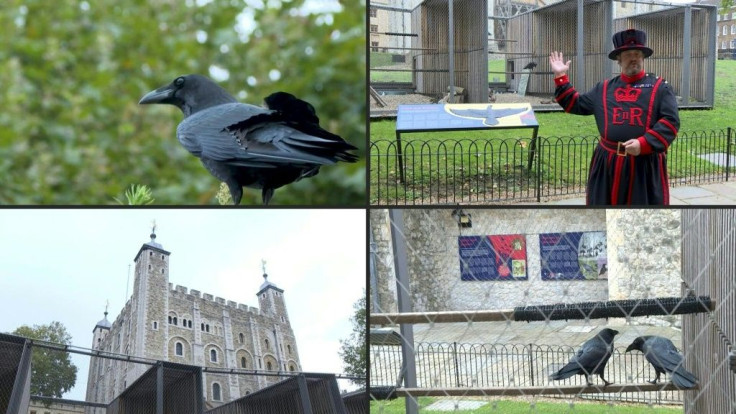 A VOICED REPORT IN THE FIRST PERSONChris Skaife has one of the most important jobs in Britain: he is the Tower of London's "ravenmaster", responsible for keeping the ravens on site. According to a legend firmly anchored in the British collective imaginati