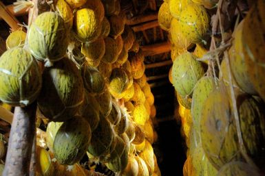 Melons hang from wooden beams in the village of Vazir in the northwest of Uzbekistan