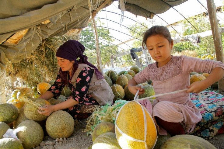 Uzbekistan grows more than 50 types of melon