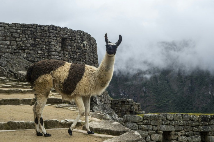 Closing Machu Picchu to help contain the spread of the deadly novel coronavirus has resulted in severe job losses across the region