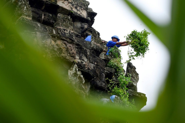 A gardener removing tree saplings from the exterior of the Angkor Wat temple in Cambodia as part of an ongoing preservation battle