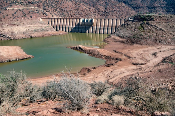 Weeds now spring up from the basin of the Abdelmoumen dam after three years of drought