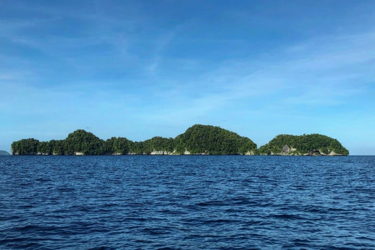 The Pacific island nation of Palau -- one of the last coronavirus-free countries on earth -- is set to choose a new president on Tuesday