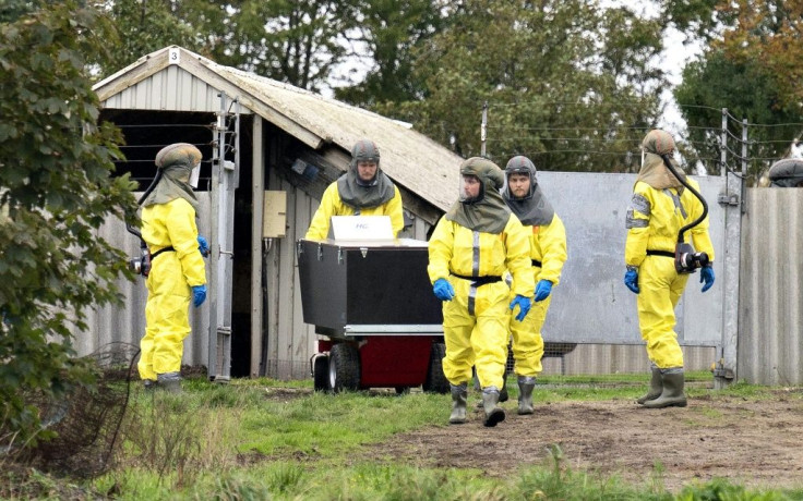 Employees from the Danish Veterinary and Food Administration and the Danish Emergency Management Agency wearing PPE arrive in October 2020 to start killing minks in Gjol, Denmark, due to contamination with the Covid-19 coronavirus