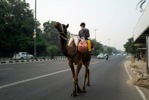 A man uses his mobile phone as he rides a camel along a street in smoggy New Delhi