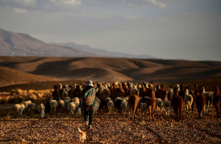 Bolivia is a starkly divided society between east and west, and between cities and the countryside