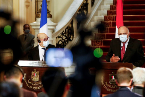 France's Foreign Minister Jean-Yves Le Drian (L) and Egyptian Foreign Minister Sameh Shoukry (R), gave a press conference during the top French diplomat's visit