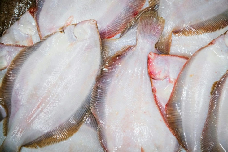 Danish fishermen catch cod, herring and sand eels in British waters