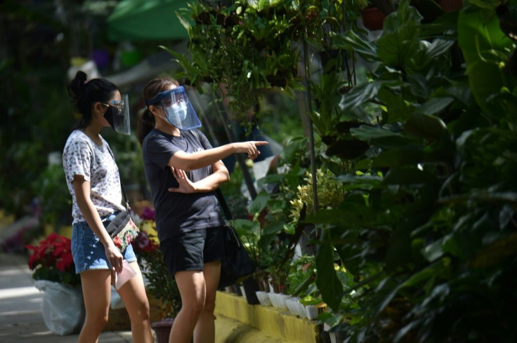 Long-time gardeners have welcomed the surge in interest, but urged the new "plantitos and plantitas" to be responsible