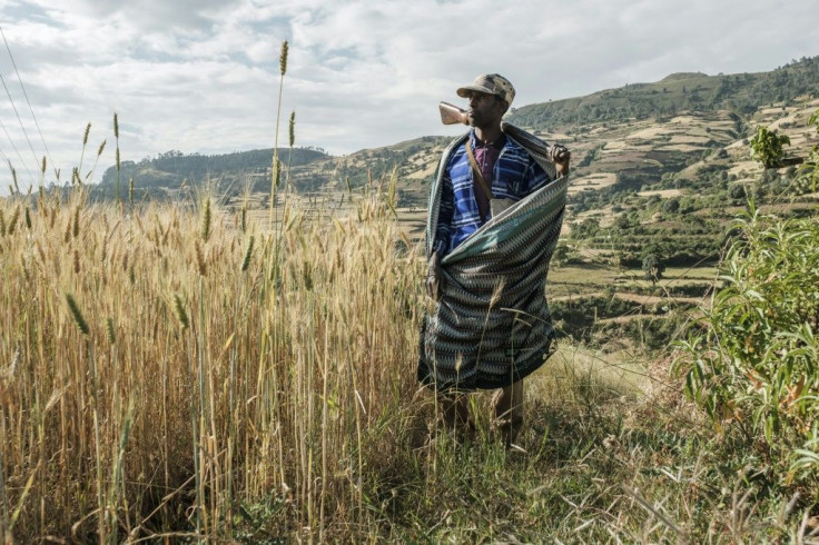 Zeleke Alabachew says there are around 200 militiamen in his area willing to fight