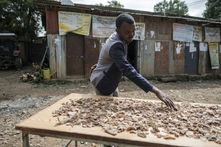 Anmut Mulat is collecting money and staples from his constituents to support the Ethiopian forces