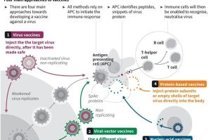 Graphic on the main approaches in the development of a vaccine. Pfizer's vaccine uses genetic information from SARS-CoV-2 to stimulate the body's immune response