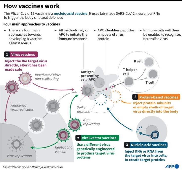 Graphic on the main approaches in the development of a vaccine. Pfizer's vaccine uses genetic information from SARS-CoV-2 to stimulate the body's immune response