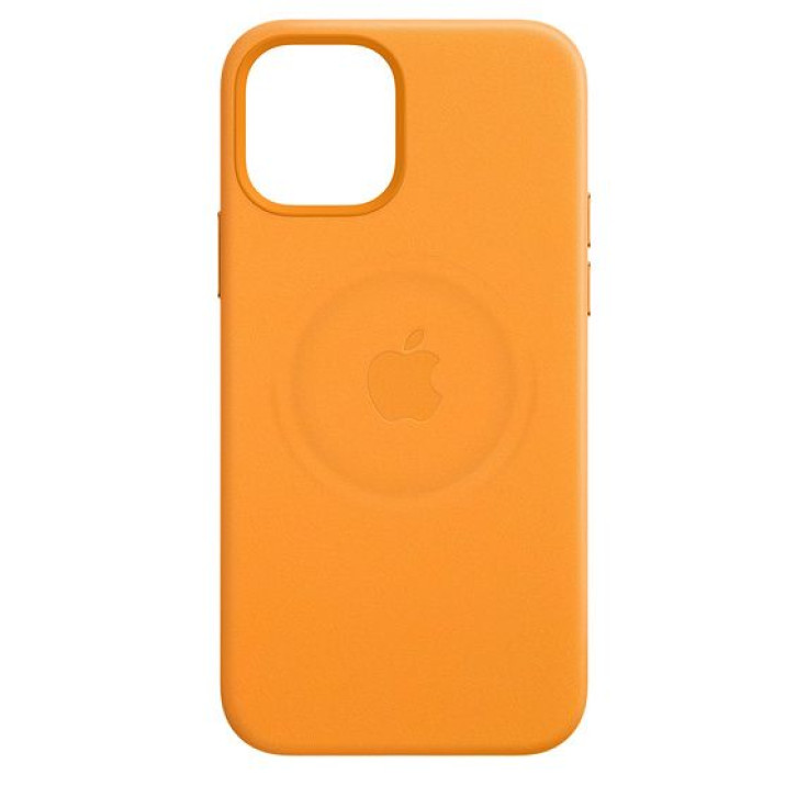Apple MagSafe case