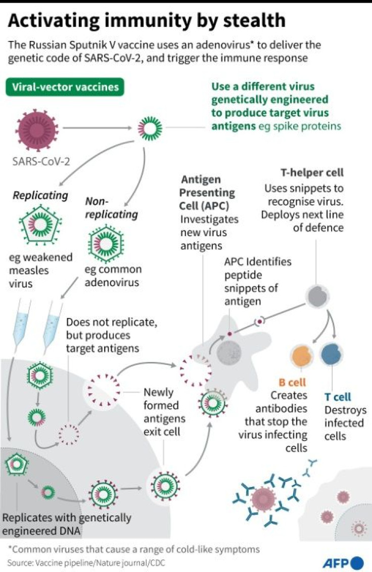 How some vaccines use adapted viruses to activate the body's immune response against SARS-CoV-2, such as the Russian Sputnik V vaccine, which is still undergoing trials.