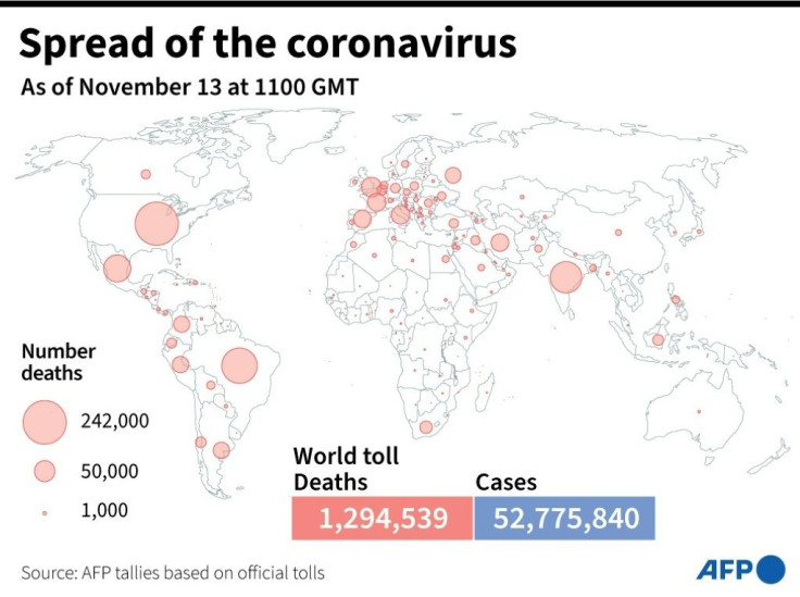 World map showing the number of Covid-19 deaths by country, as of November 13 at 1100 GMT