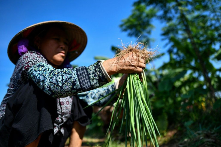 Some 70 percent of 16 to 30-year-olds said food safety was their biggest concern -- ranking the same as job security -- when polled by the British Council in Vietnam this year