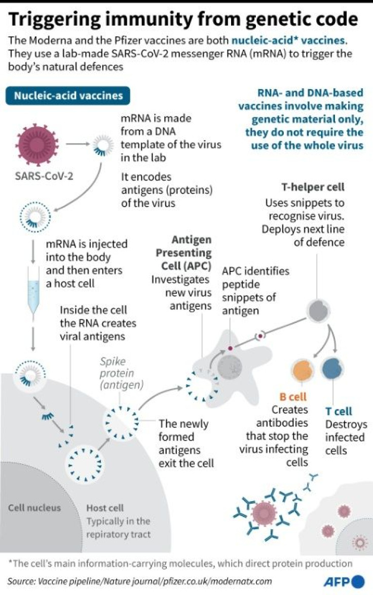 How Moderna and Pfizer's vaccines both use genetic information from SARS-CoV-2 to stimulate the body's immune response.