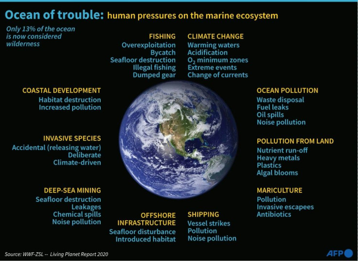 Environmental degradation of the oceans caused by human activity