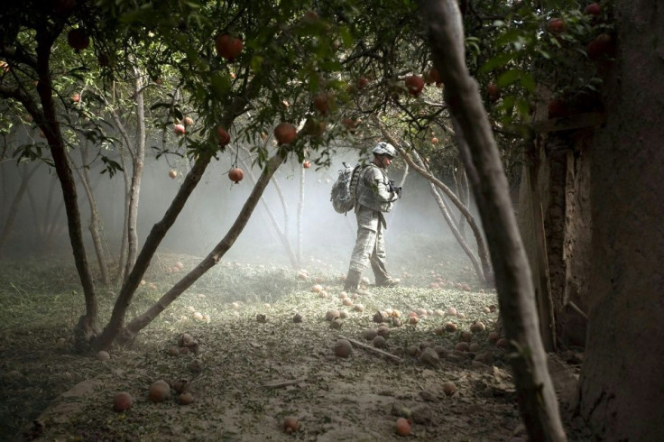 A US soldier on patrol in a pomegranate orchard in Jellawar. Only 2,500 US troops will remain in AFghanistan from January 2021