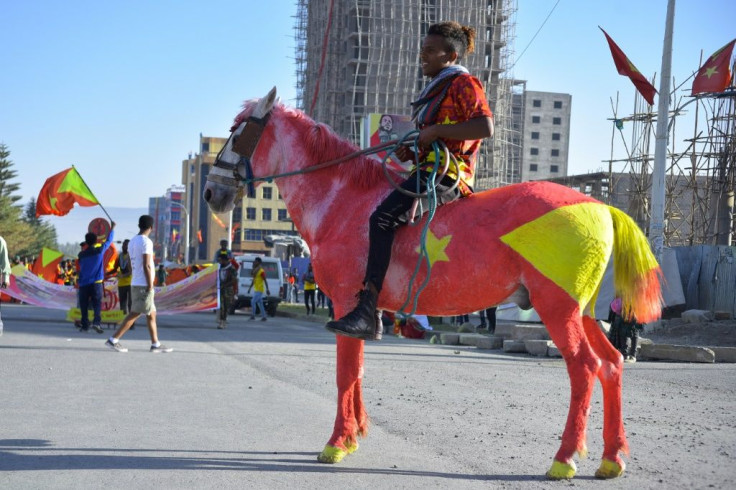 A resident of Mekelle, the capital of Tigray, rides a horse painted in the colours of regional flag at celebrations in February to mark the 45th anniversary of the 'Armed Struggles of the Peoples of Tigray'