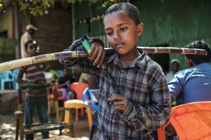 Dansha life: A child with a knife clutches a length of sugar cane