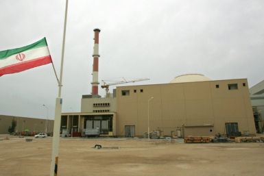 A file picture shows Iran's nuclear power plant in the southern Iranian port town of Bushehr