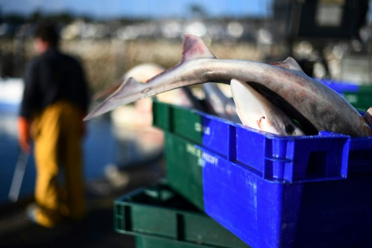 European fishermen have long had access to Britain's rich fishing waters, but inflexibility on both sides of the Channel made it impossible to reconcile two starting positions: full access for the European side, and total access control for London