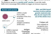 How Moderna's vaccine uses genetic information from SARS-CoV-2 to stimulate the body's immune response. Moderna said it would file requests for use of its vaccine in the US and Europe on November 30