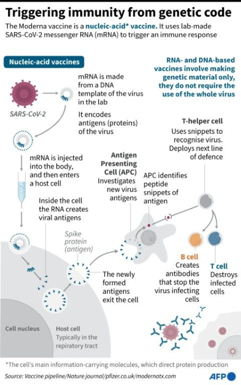 How Moderna's vaccine uses genetic information from SARS-CoV-2 to stimulate the body's immune response. Moderna said it would file requests for use of its vaccine in the US and Europe on November 30