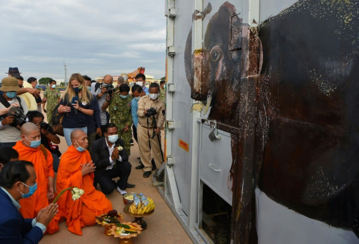 Kaavan arrived in Cambodia to much fanfare after a seven-hour flight