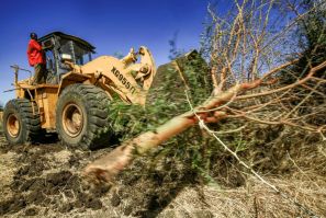 A bulldozer clears trees at the Um Raquba refugee camp in Sudan's eastern Gedaref province,