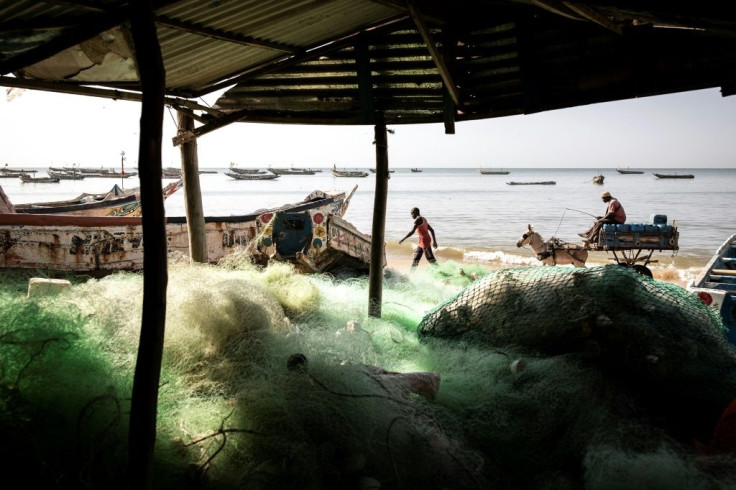 Fishermen say falling catches and competition from industrial trawlers is pushing some to consider migration