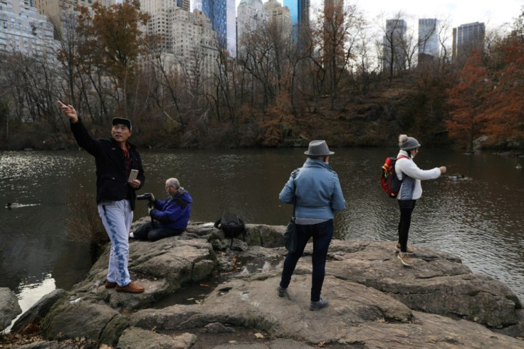 Each year some 220 bird species frequent Central Park, which remarkably is considered one of the best spots in the world for birding