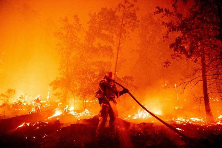 Massive wildfires that devastated vast areas in Australia, Siberia, the US West Coast and South America in 2020 have been tied to climate change