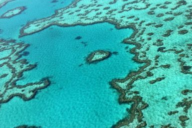 The Great Barrier Reef off the coast of the Australia has suffered coral bleaching
