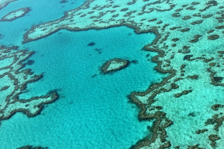 The Great Barrier Reef off the coast of the Australia has suffered coral bleaching