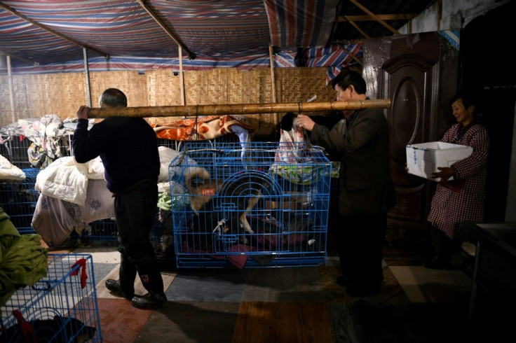 Wen's shelter is taking in more animals despite the large number already in her care