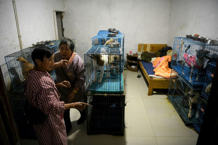 Some Chinese social media users have criticised Wen's shelter over the living conditions of the animals