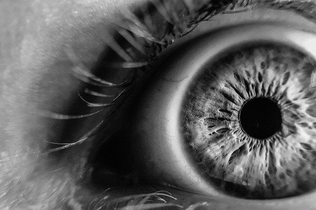 eye