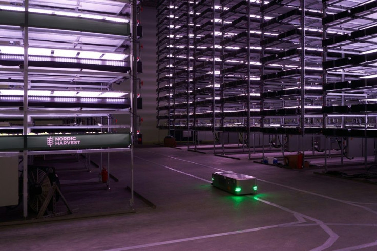 A robot, used to plant seeds and check the plants while growing, moves past vertical racks at  'Nordic Harvest' in Taastrup, a suburb west of Copenhagen