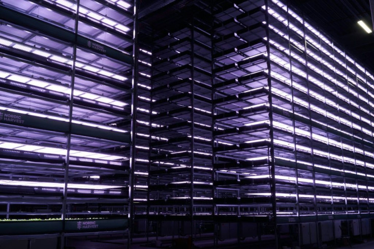 Shelves of the vertical plant farm 'Nordic Harvest' where lettuce, herbs and kale will soon be growing