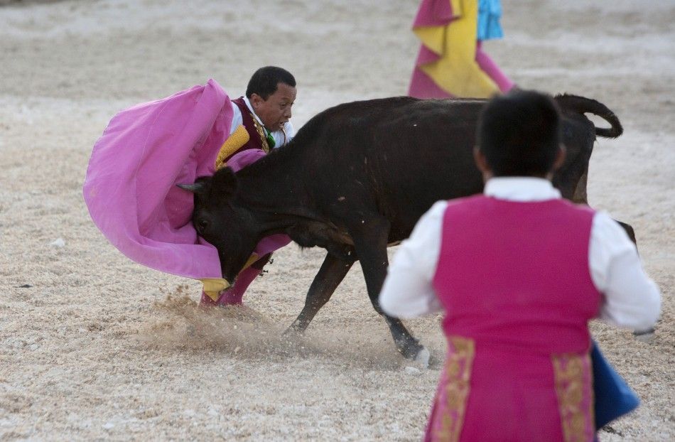 Dwarf bullfighter Osvaldo Hernandez from Los Enanitos Toreros performs a pass to a calf in Cancun