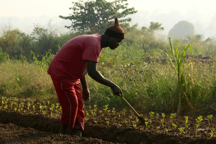 The World Bank has urged the next government to diversify an economy that is heavily reliant on subsistence agriculture