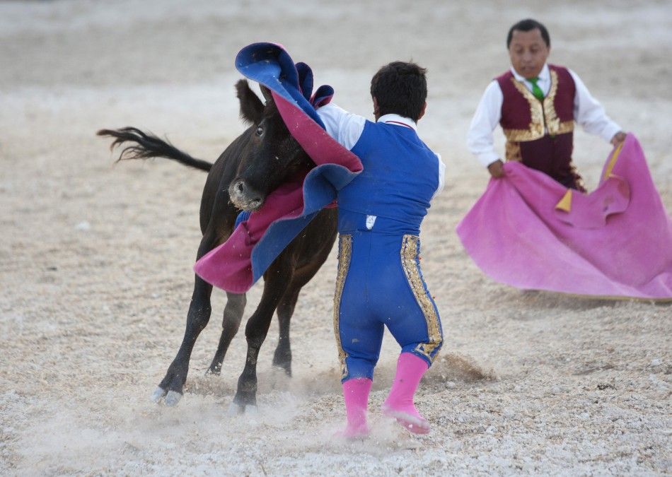 Dwarf bullfighter Jorge Vega front from Los Enanitos Toreros performs a pass to a calf in Cancun