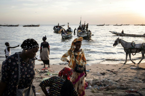 Women wait to buy fish off incoming boats at the port of Mbour. Poverty and dwindling catches have led many young people in Senegal's fishing communities to attempt the dangerous crossing to the Canary Islands