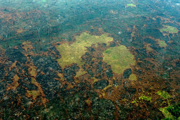 Burnt areas of the Amazon rainforest near Boca do Acre, Brazil -- the Amazon lost an area equivalent to Spain due to deforestation between 2000 and 2018, according to a new study