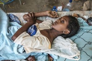 A young girl pictured lying wounded last month in her home in Humera, northwest Ethiopia. Two women and an elderly man in her compound were killed by shelling and gunfire